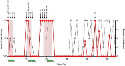 Whole-Genome Sequencing of Klebsiella pneumoniae Isolates to Track Strain Progression in a Single Patient With Recurrent Urinary Tract Infection